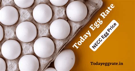 necc rate|egg rate list today.